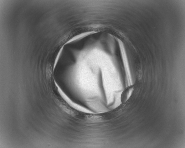 X0000078850476200612041911