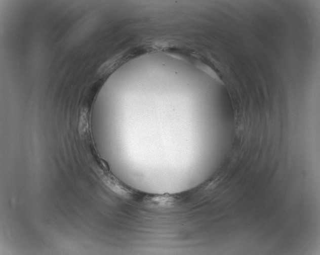 X0000078850478200612041911