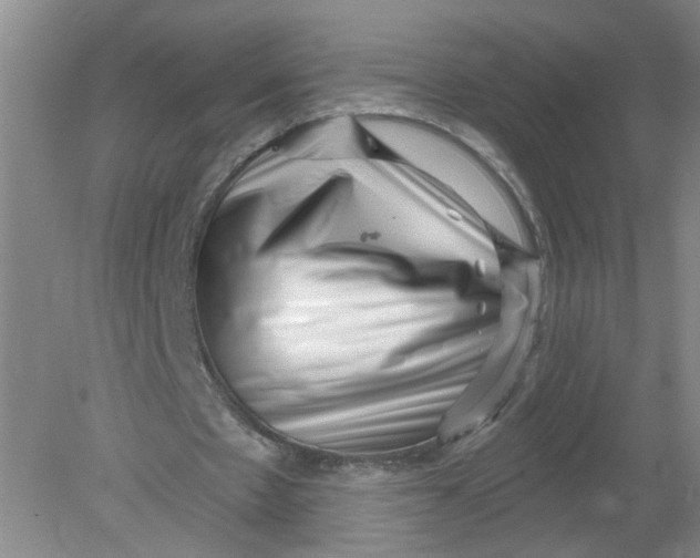 X0000078850481200612041910