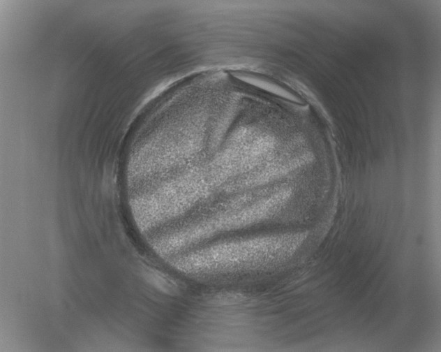 X0000078850483200612041910