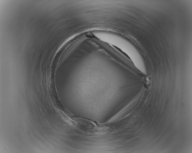 X0000078850484200612041910
