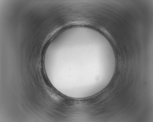 X0000078850486200612041910