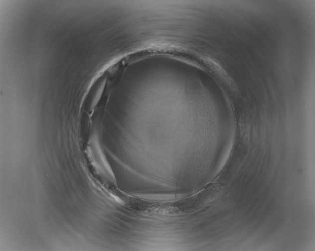 X0000078850488200612041910