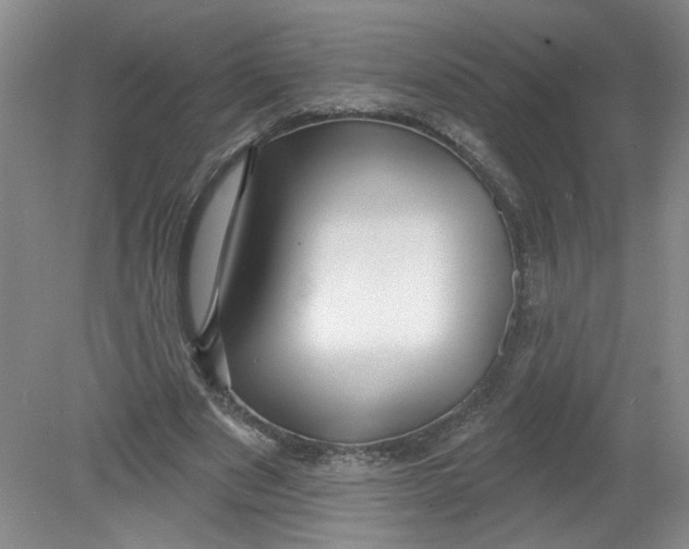 X0000078850489200612041910