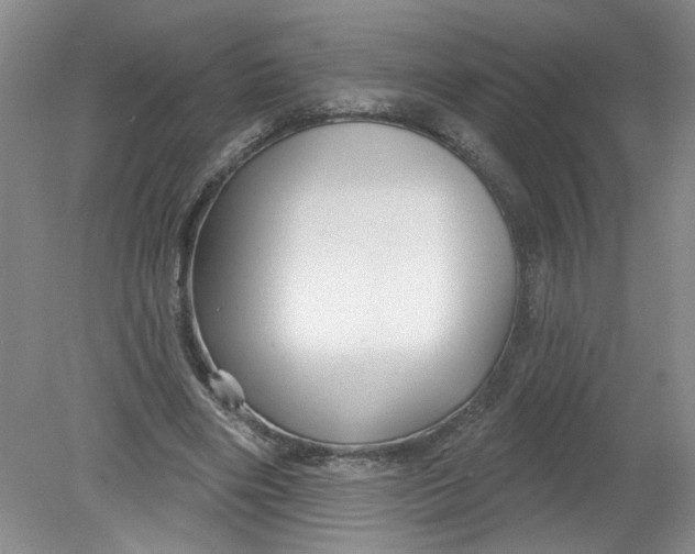 X0000078850490200612041910