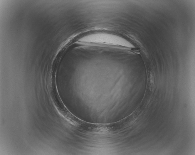 X0000078850492200612041910