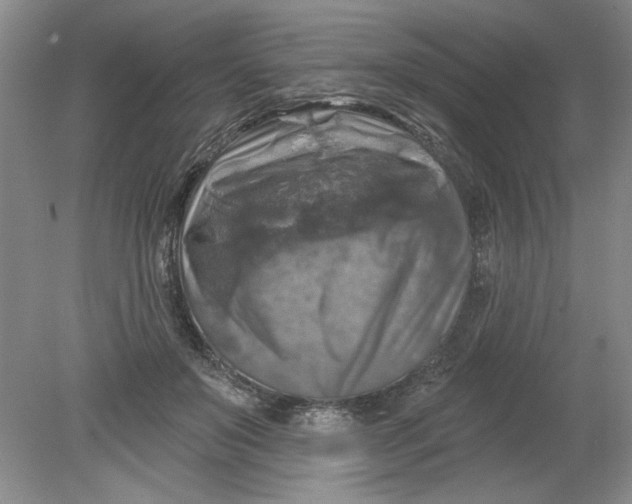 X0000078850503200612041910