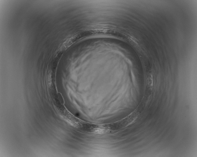 X0000078850504200612041910