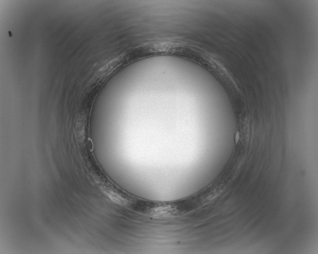 X0000078850505200612041910