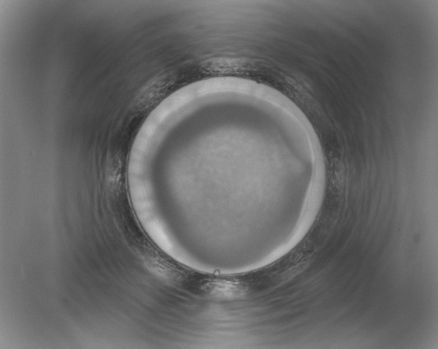 X0000078850507200612041909