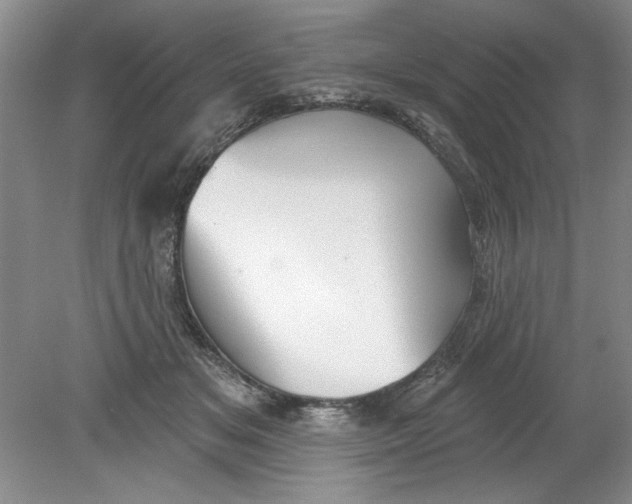X0000078850509200612041909