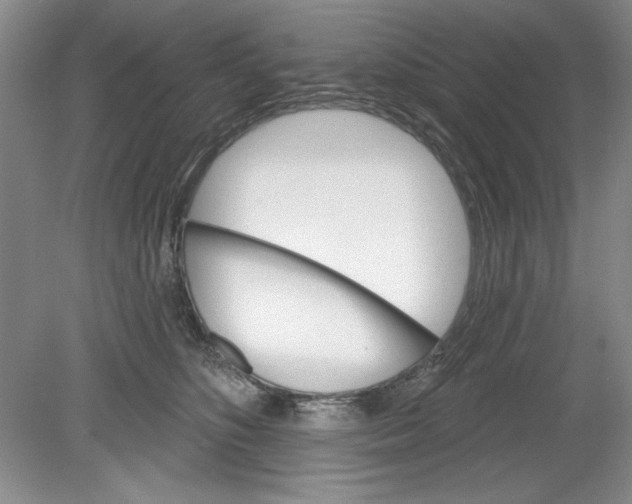 X0000078850516200612041909