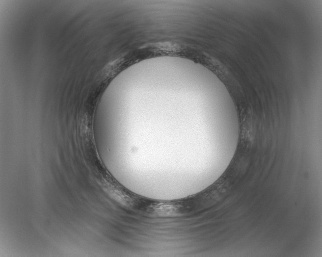 X0000078850518200612041909