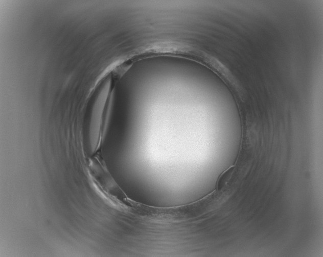 X0000078850530200612041908