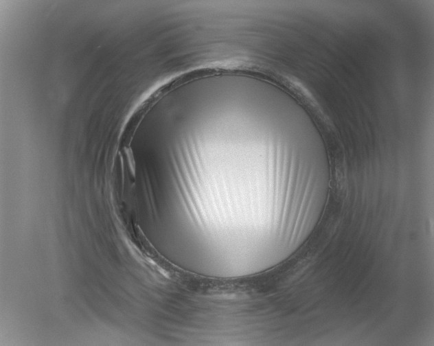 X0000078850532200612041908