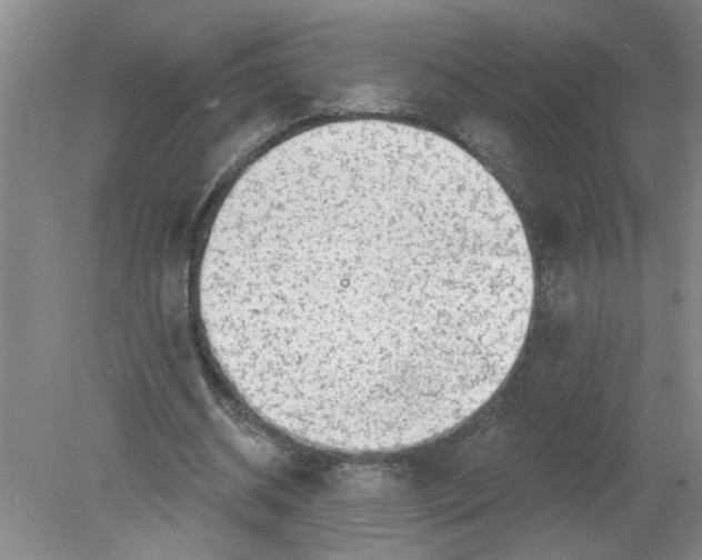 X0000078850534200612041908