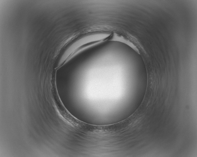 X0000078850538200612041908