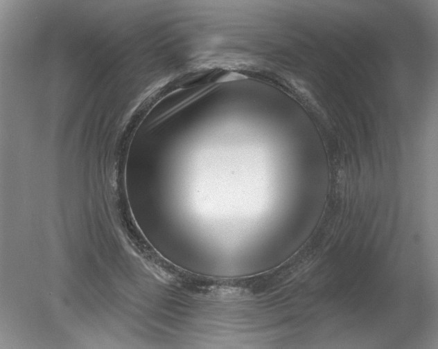X0000078850539200612041908
