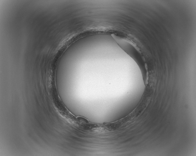 X0000078850544200612041909