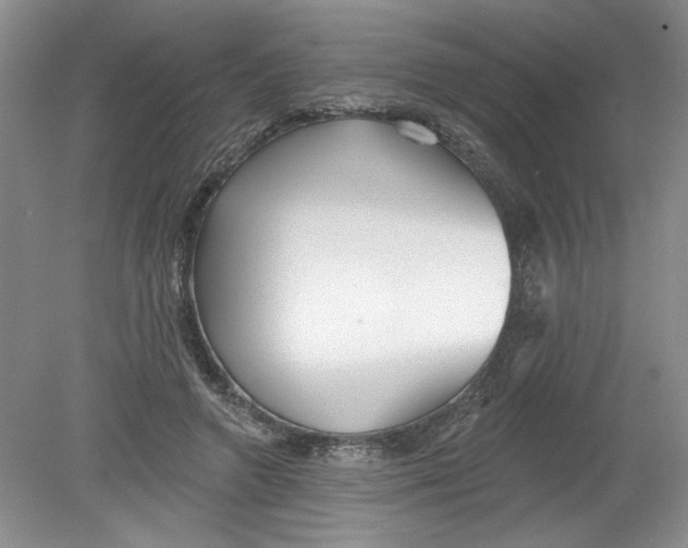 X0000078850546200612041909