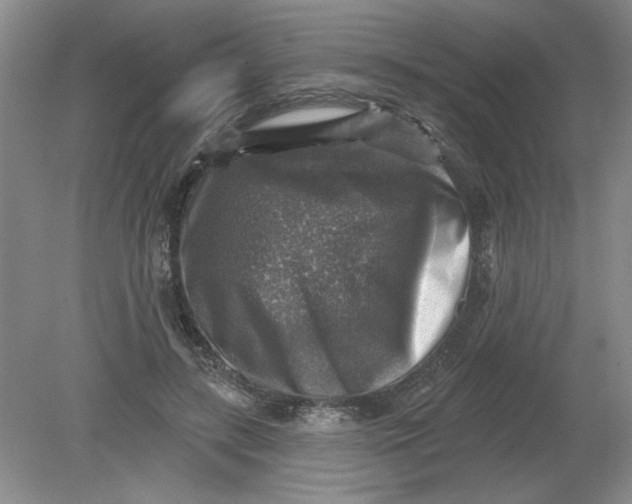 X0000078850547200612041909
