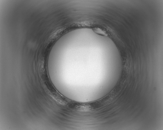 X0000078850548200612041909