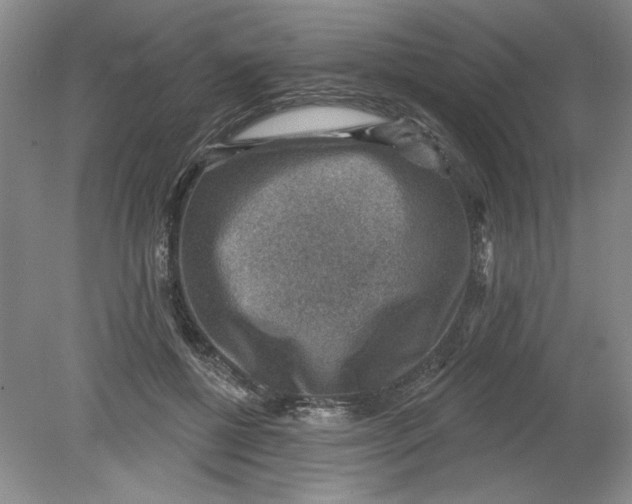 X0000078850552200612041909