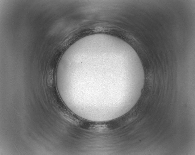 X0000078850554200612041909