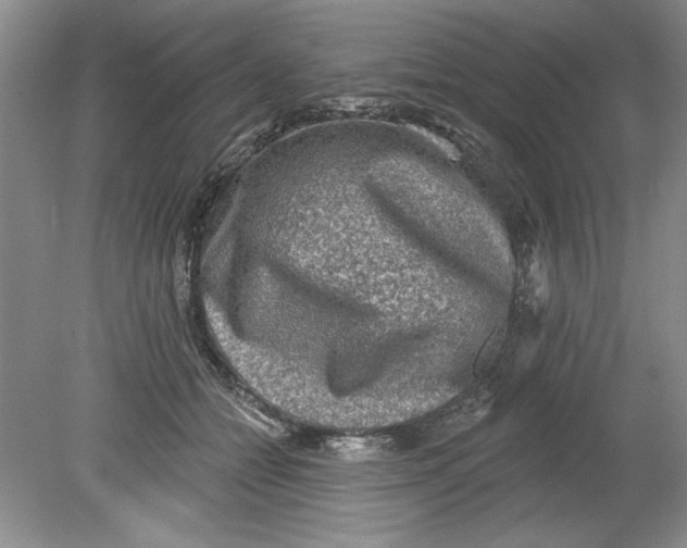 X0000078850558200612041909