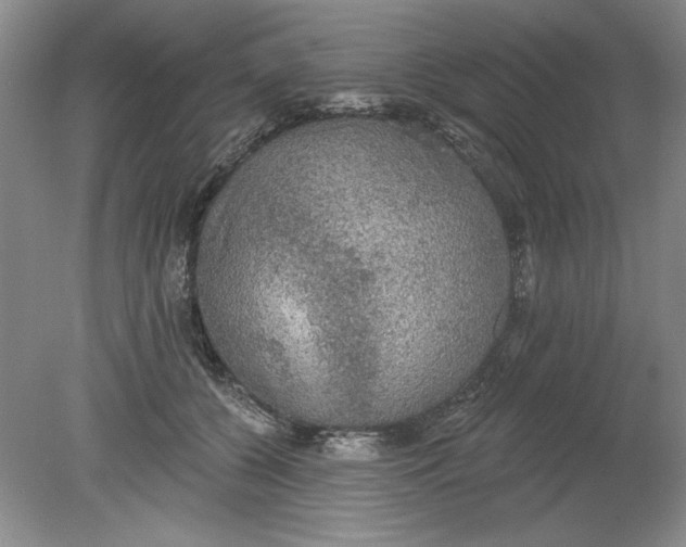 X0000078850560200612041909