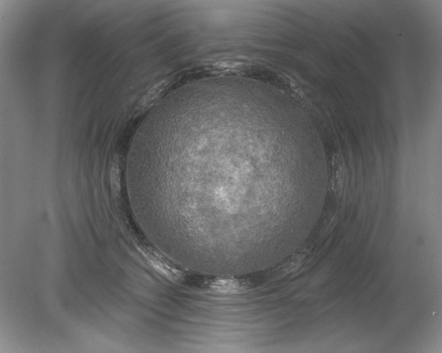 X0000078850562200612041909