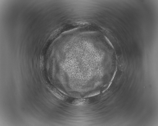 X0000078850563200612041909