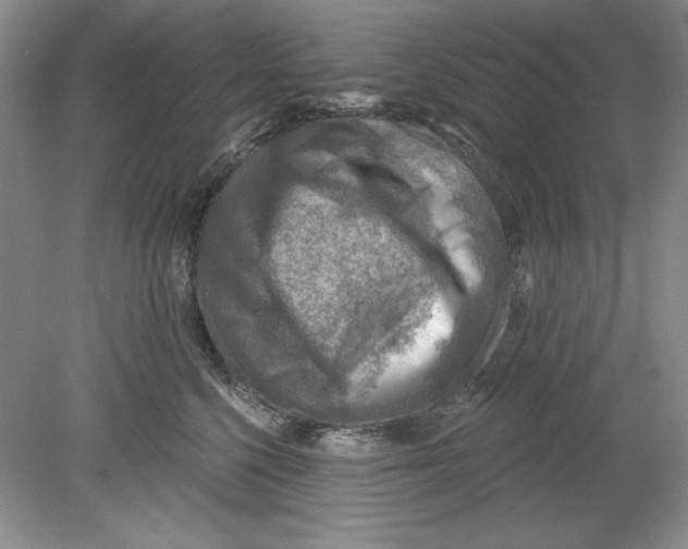 X0000078850568200612041909