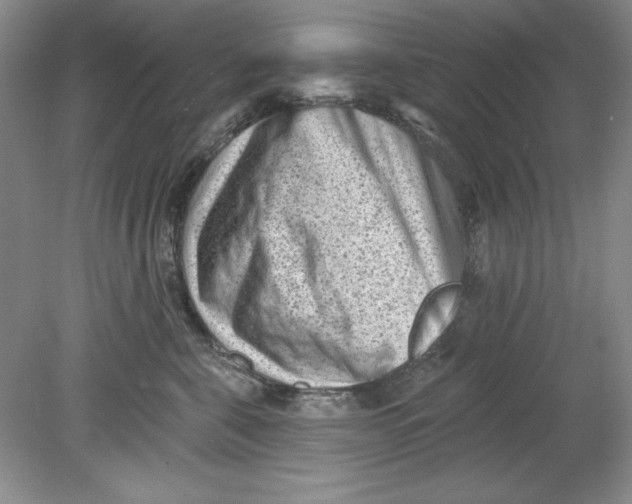 X0000078850571200612041909