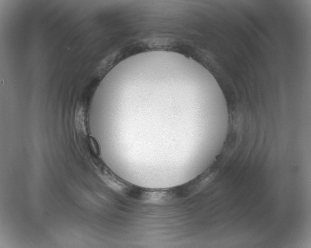 X0000078850575200612041909