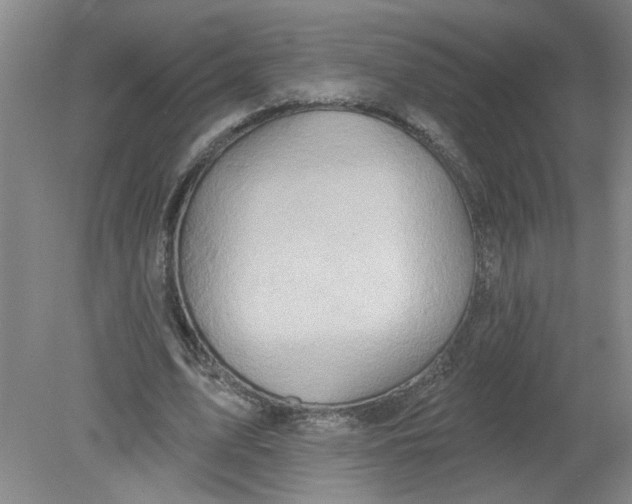 X0000078850583200612041908
