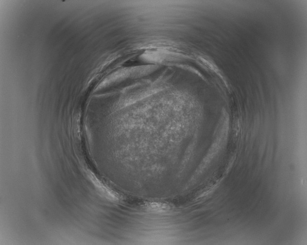 X0000078850585200612041908