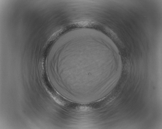 X0000078850590200612041908