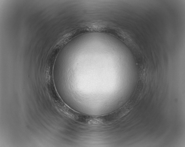 X0000078850599200612041908