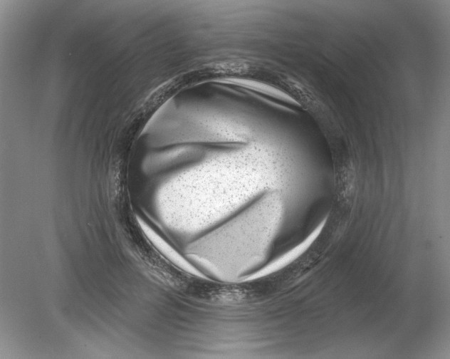 X0000078850600200612041908