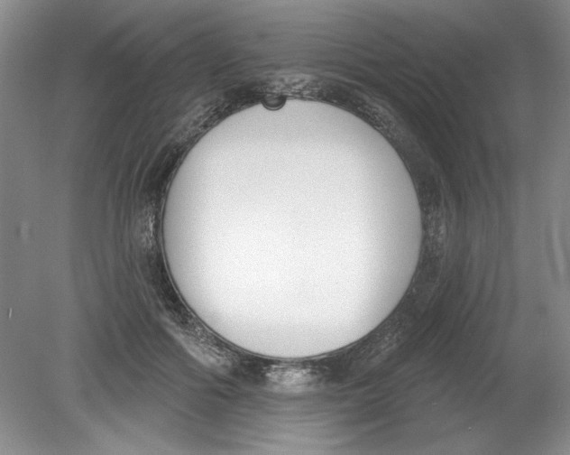 X0000078850602200612041908