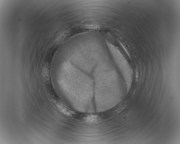 X0000078850609200612041908