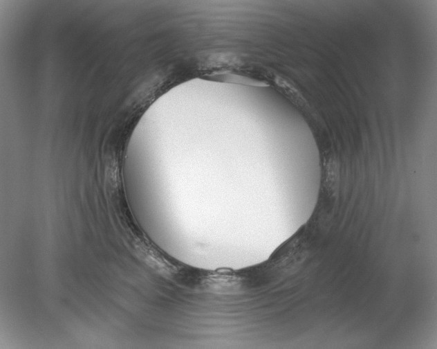 X0000078850617200612041908