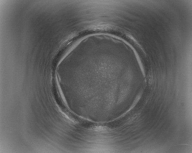 X0000078850637200612041907