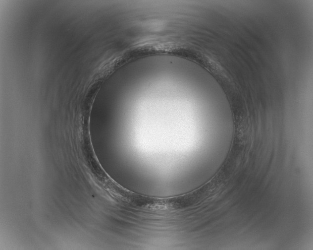 X0000078850639200612041907