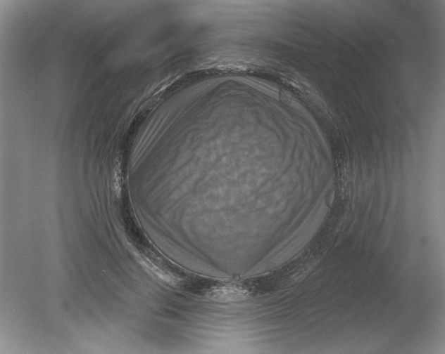 X0000078850644200612041907