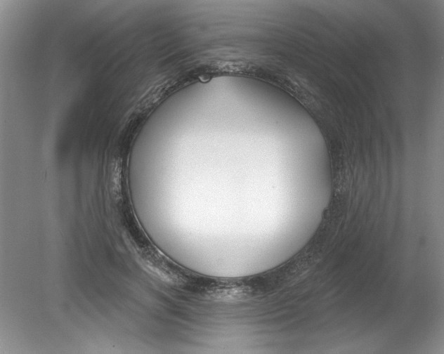 X0000078850646200612041907