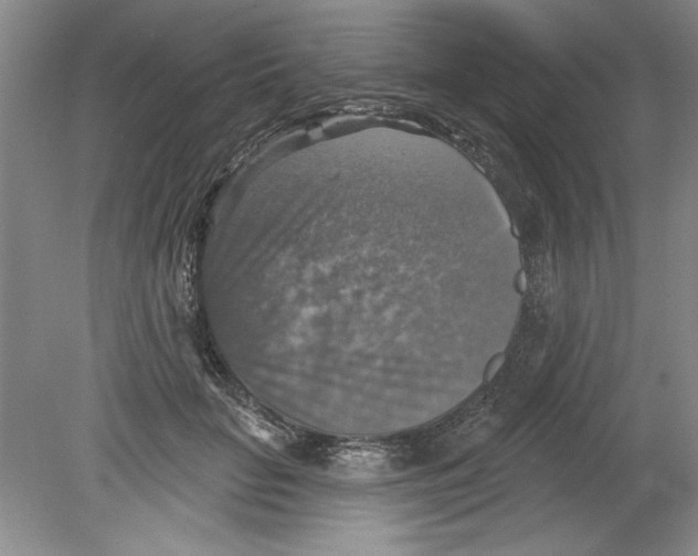 X0000078850653200612041907