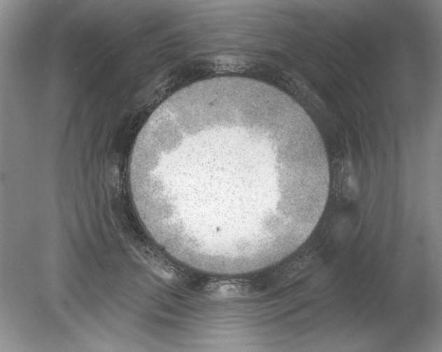 X0000078850655200612041907