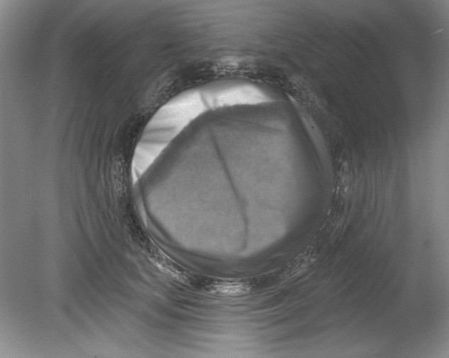 X0000078850659200612041907